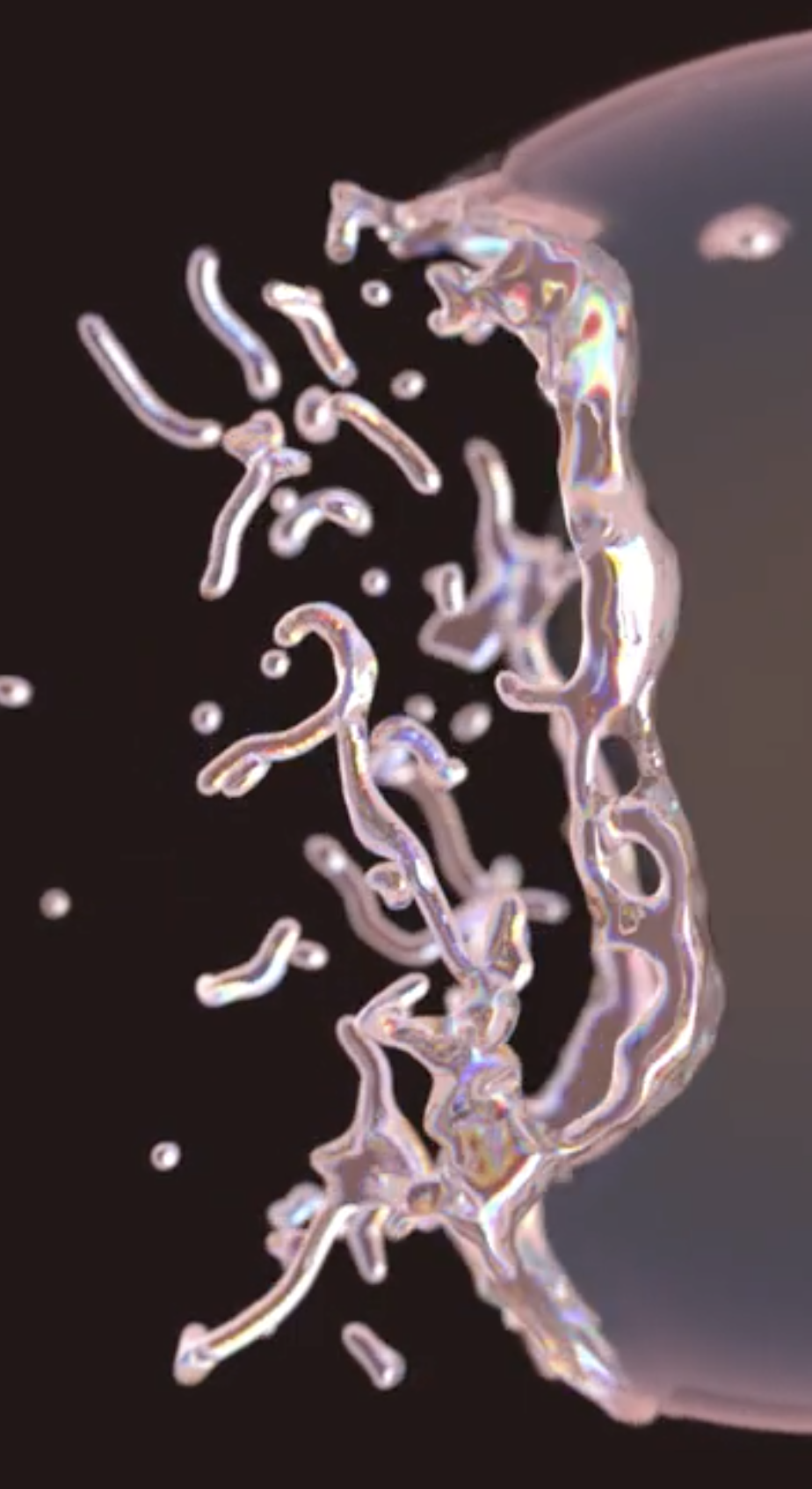 model-houdini2