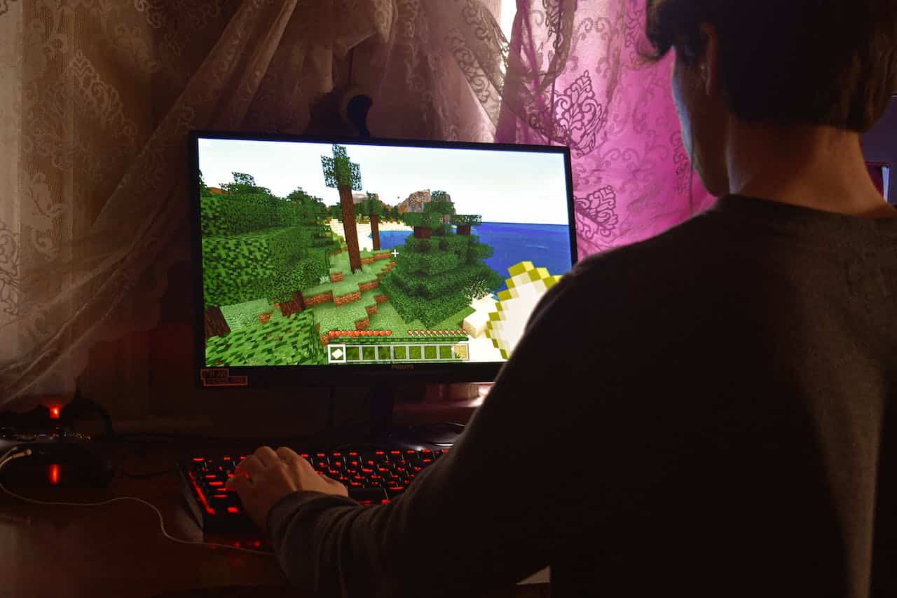Chico jugando a un videojuego en su ordenador